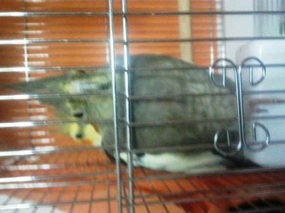 2011-10-28 17.53.23.jpg