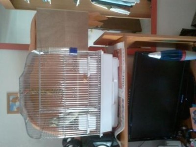 2011-10-28 10.30.58.jpg