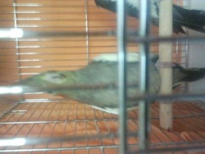 2011-10-28 18.00.04.jpg