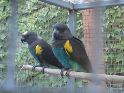 DSC01483 (Medium).JPG