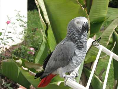 IMG_4899.jpg