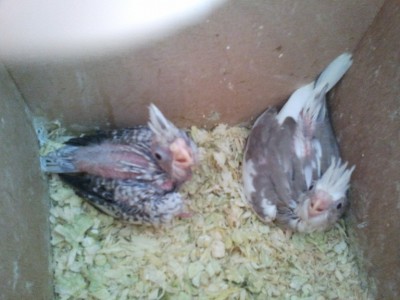 2011-11-12 10.33.31.jpg