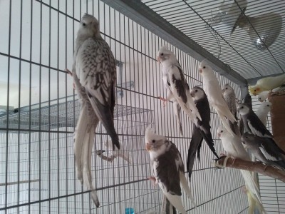 2011-11-12 10.43.12.jpg