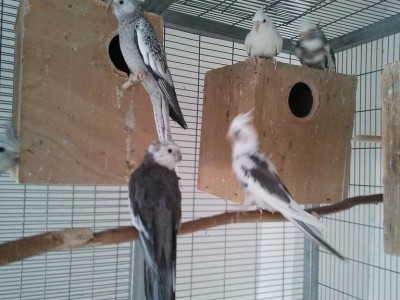 2011-11-12 10.45.12.jpg