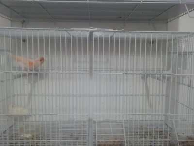 2011-11-19 09.31.43.jpg