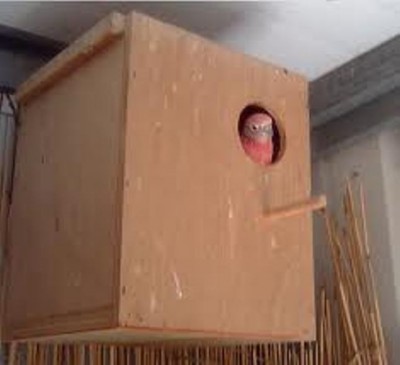 file.jpg