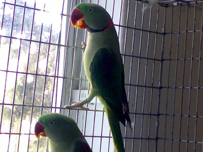 01012006494.JPG