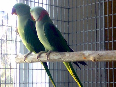 01012006491.JPG