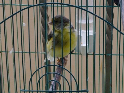 14122011103 (Large).jpg