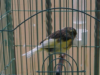 14122011102 (Large).jpg