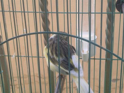 15122011104 (Large).jpg