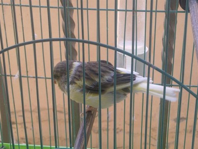 15122011105 (Large).jpg