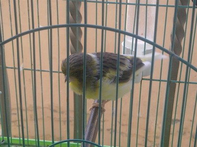 15122011106 (Large).jpg