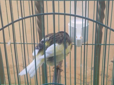 15122011108 (Large).jpg