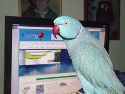 DSCF0773 (2000 x 1500).jpg