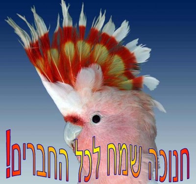 01_1.jpg