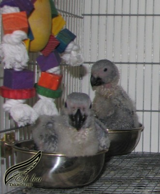 Picture 001.jpg