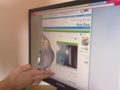 צ'יף מחייך למצלמה ;)