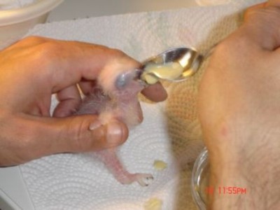 מכפית מכופפת.jpg