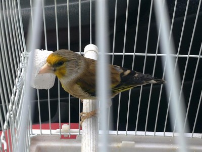 11012012122 (Large).jpg