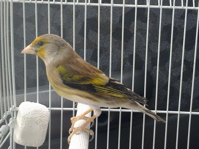 11012012123 (Large).jpg