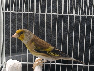 11012012124 (Large).jpg