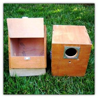 21_תיבת קינון.jpg