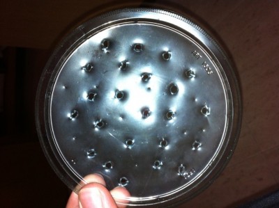 IMG_0457 (648 x 484).jpg