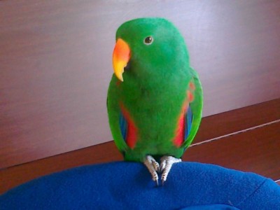 180120121053 (Copy).jpg