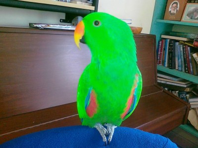 180120121010 (Copy).jpg