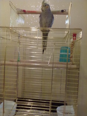 19012012345.jpg
