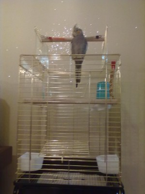 19012012346.jpg