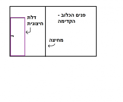 פנים.png