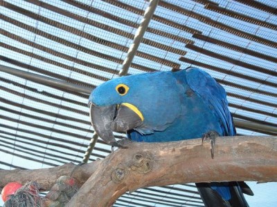 02.jpg