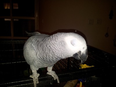 2012-02-10 13.00.27.jpg