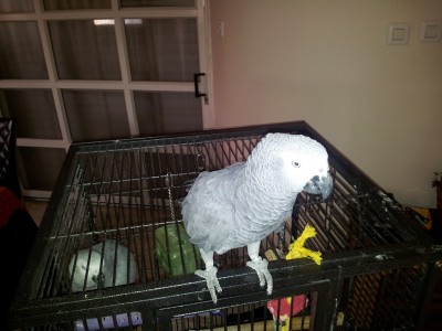 2012-02-10 12.58.34.jpg