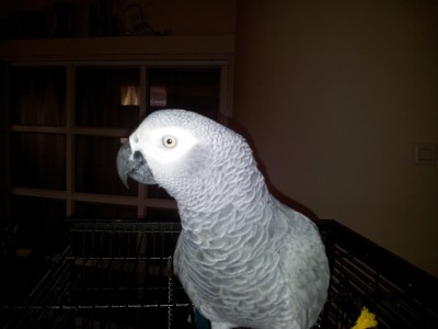 2012-02-10 12.58.21.jpg