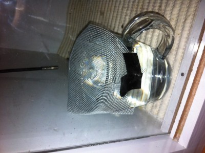 IMG_0553 (855 x 639).jpg