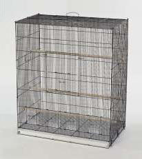 cages_27.jpg