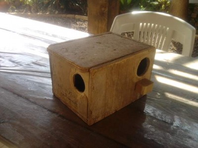 תא הטלה במבט מהצד