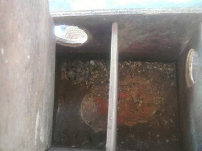 מבט מבנים, תא ההטלה הספציפי הזה הוא תא שהתבצעו בו רציחות מצד נקבה מסוימת שהרגה 3 תוכונים בוגרים[2 נקבות וזכר] את הנקבות בתאים והזכר בזמן האוכל וגם את הגוזל שלה... הוצאתי את התא לניקיון יסודי ואותה הפרדתי...