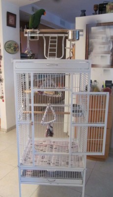 resized_IMG_2717 copy.jpg