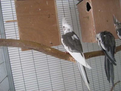 IMG_1663.JPG