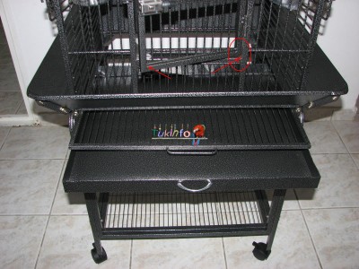 התחלה של קורוזיה.jpg