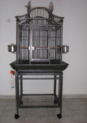 כלוב  צילום.jpg