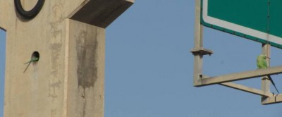 img0376y.jpg