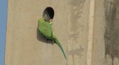 img0368ht.jpg