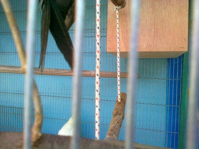 09042012054 (1) (3).jpg