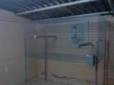 זהו כלי האוכל שלהם...