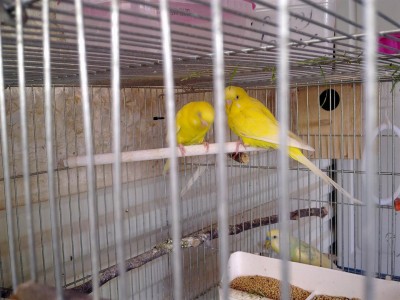 16042012018 (Large).jpg